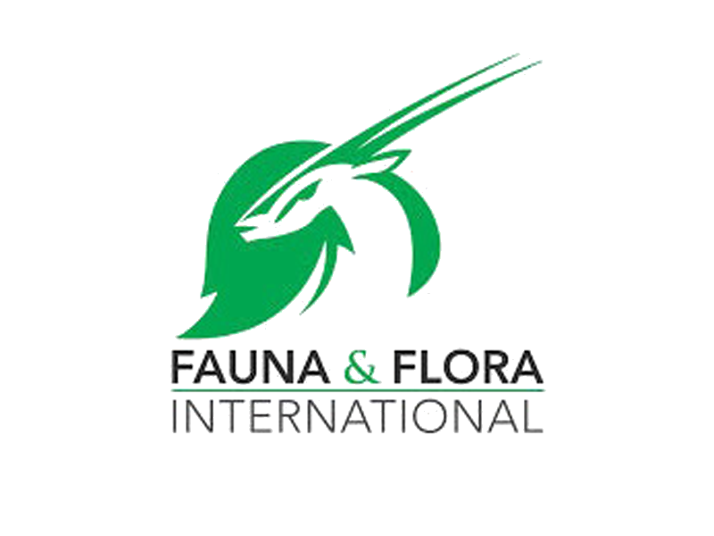 FFI PNG